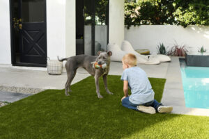 Family Garden with Year-Round Green