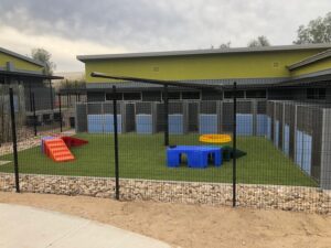 Healing Haven for Rescues