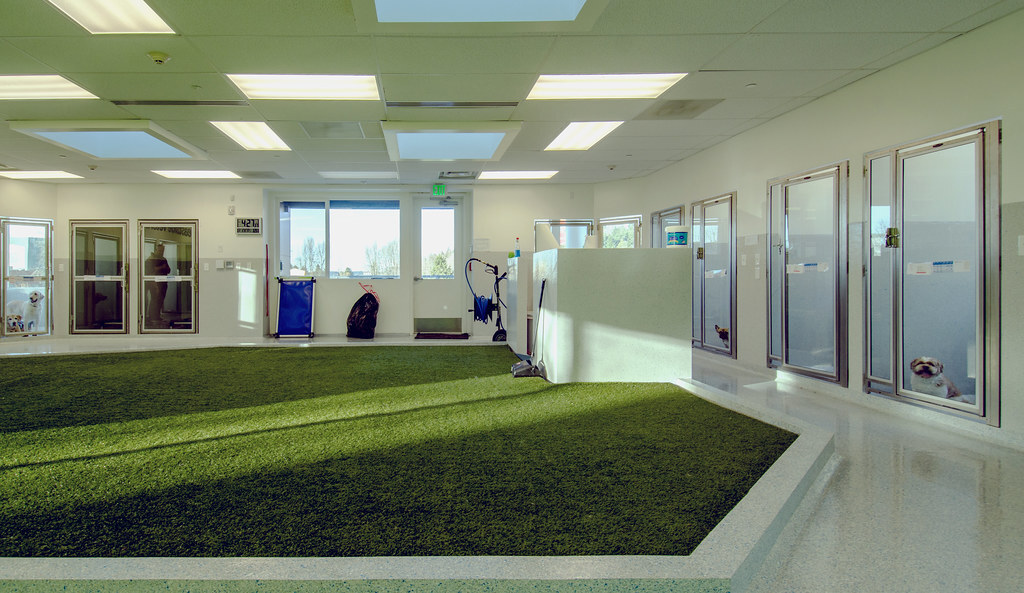 Indoor vet clinic