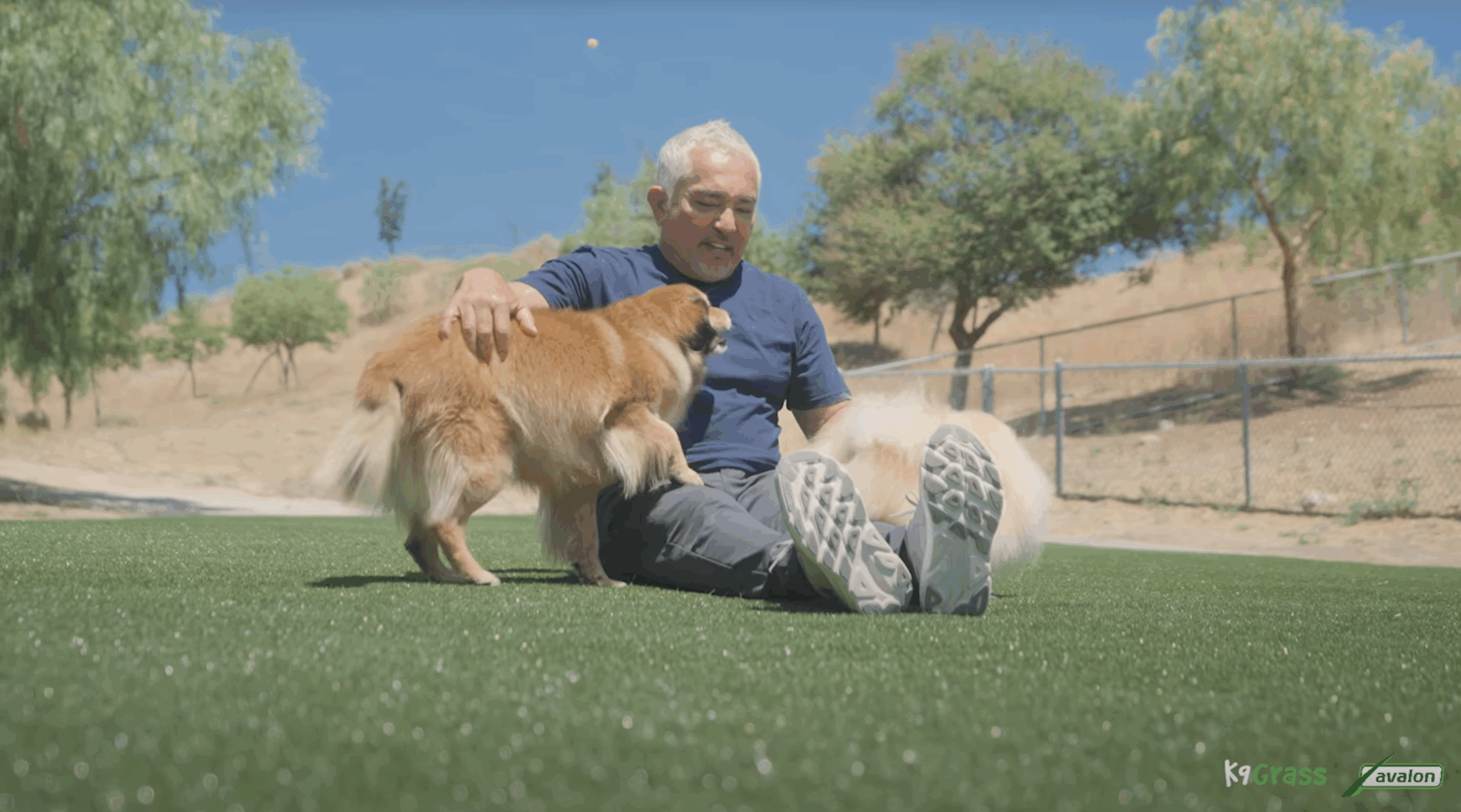 K9Grass_CesarMilan_Intro
