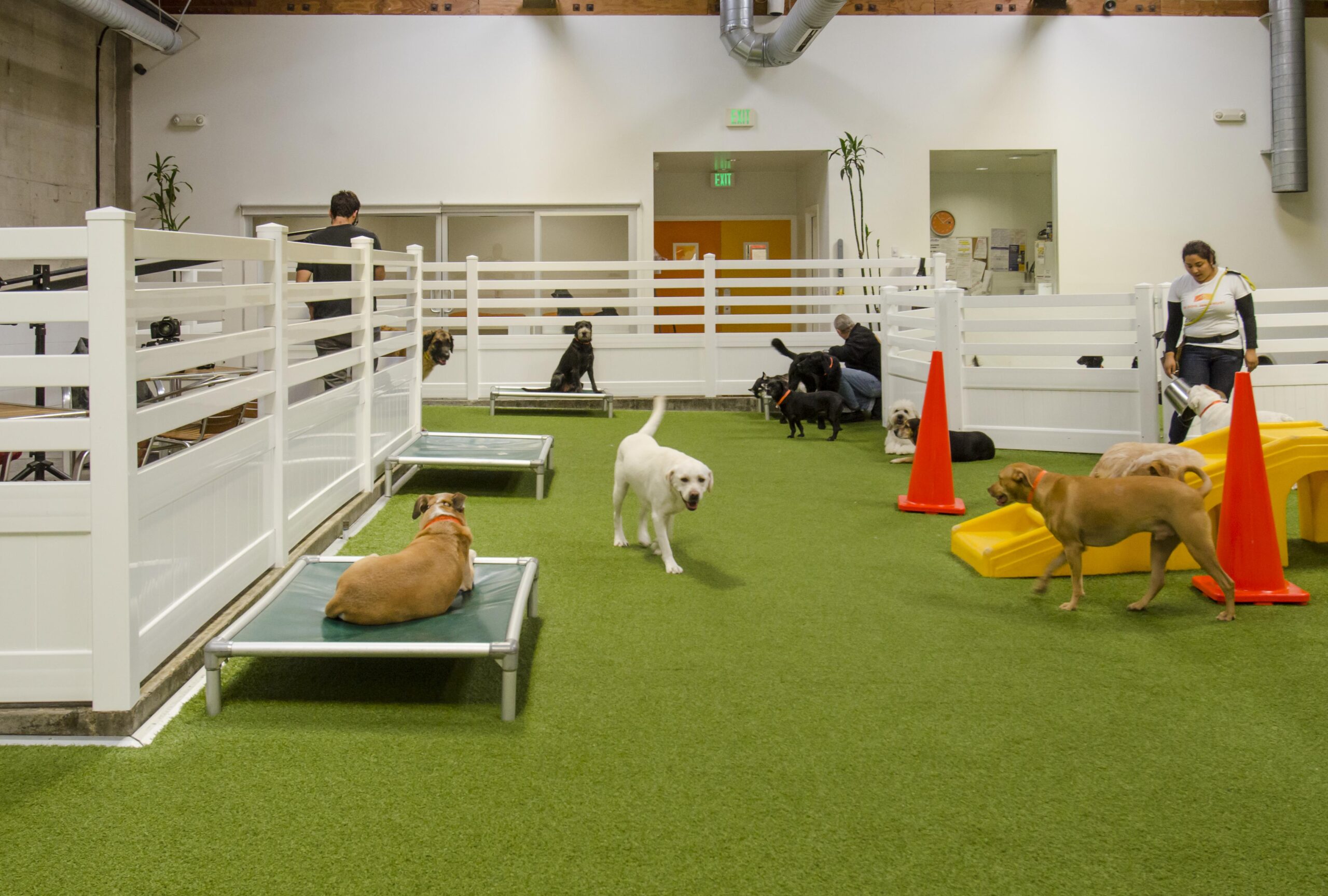 Indoor Kennel