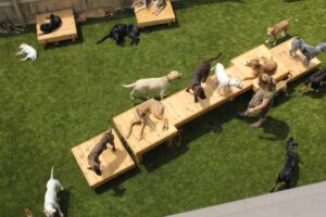 Durable Daycare Grounds