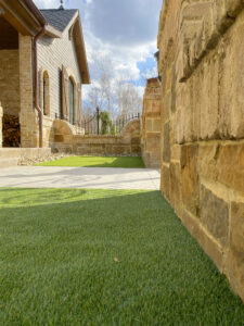 Urban Courtyard Turned Dog Haven