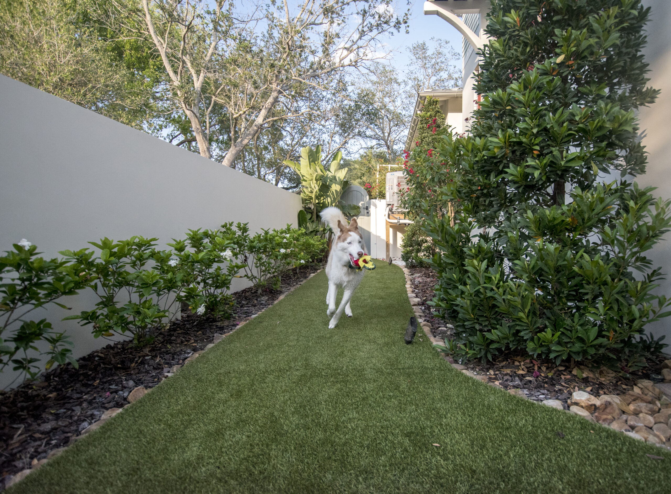 Residential Dog Run Designed for Function and Appeal
