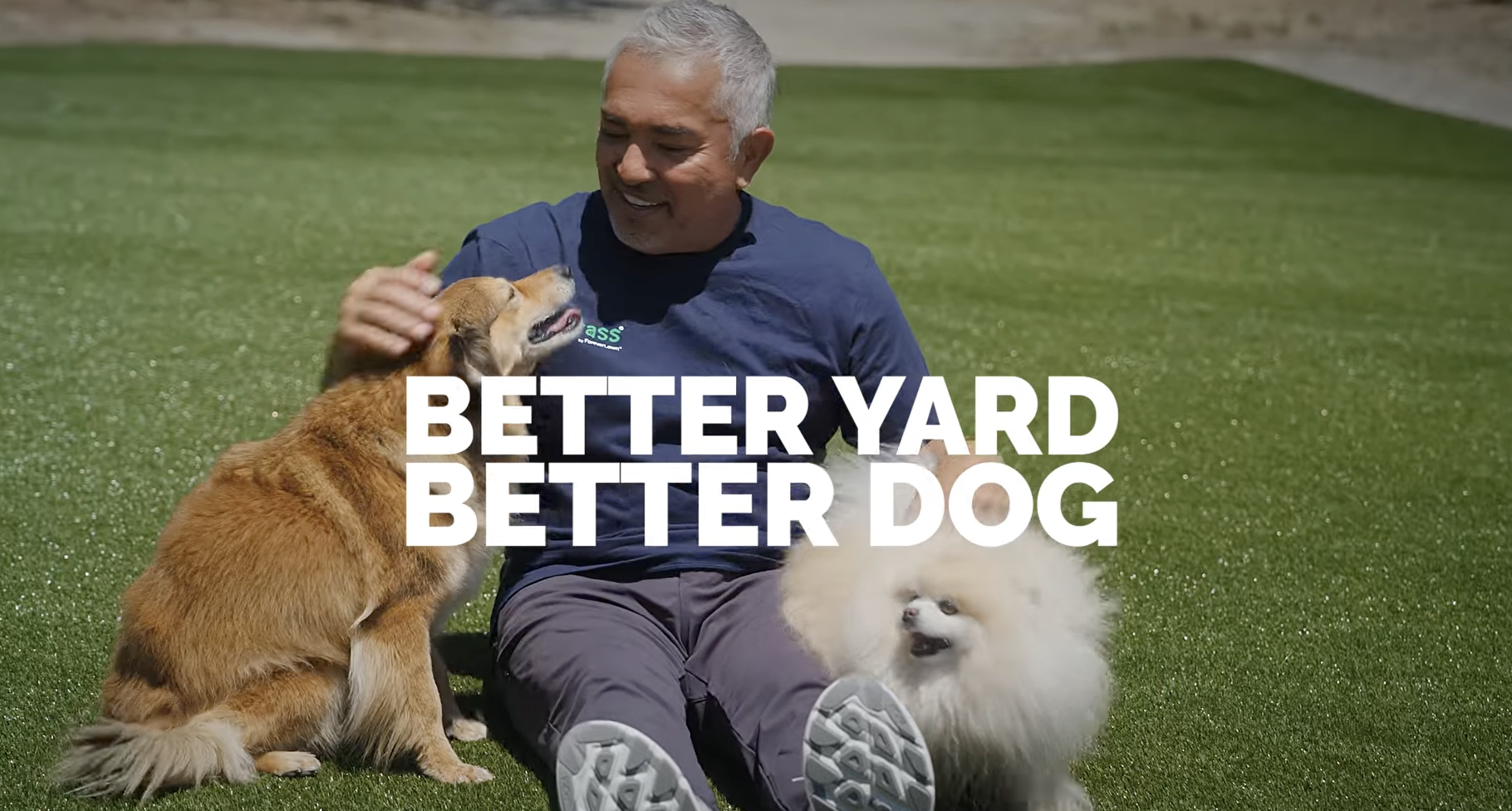 Cesar Millan and K9Grass Partnership